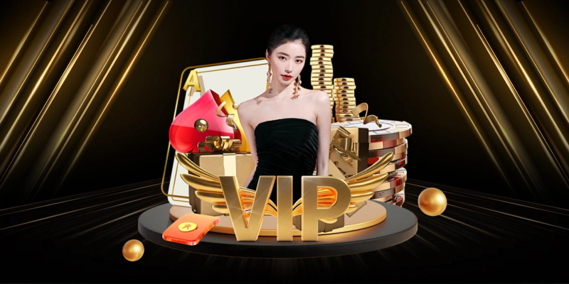 Giao Diện Và Trải Nghiệm Người Dùng Đẳng Cấp Mỹ